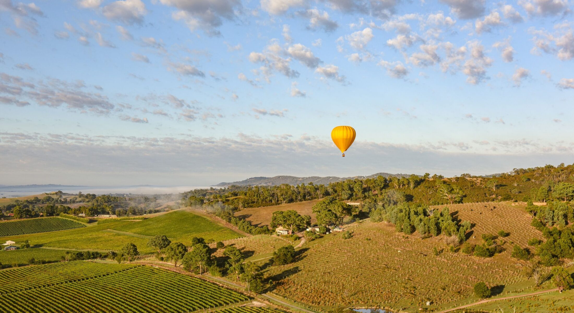 Hot air ballooning over the Yarra Valley