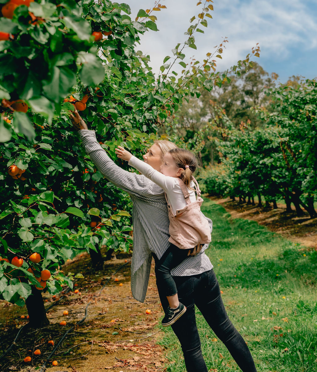 Rayner's Orchard