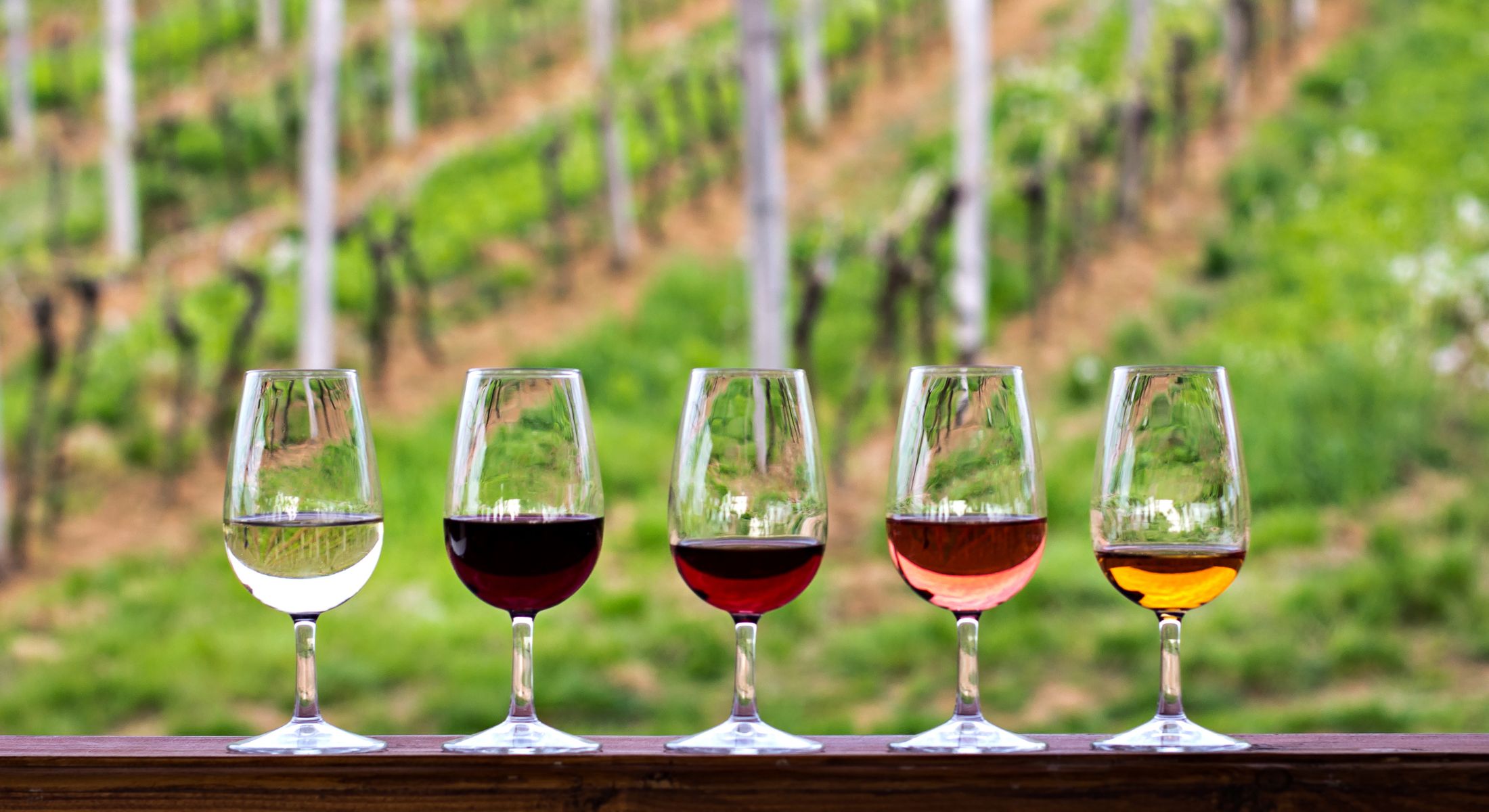 Winery Tour