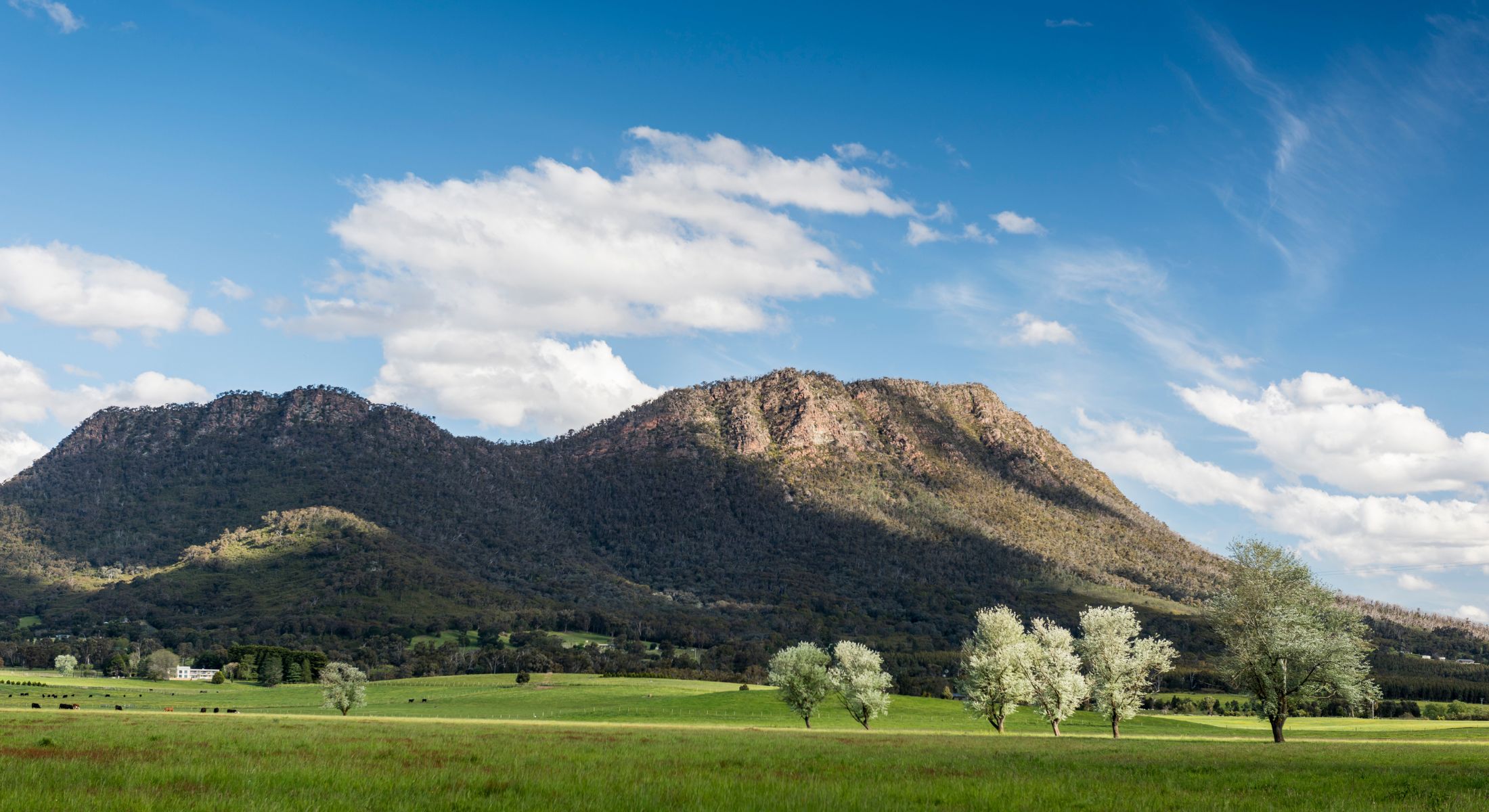 Cathedral Range