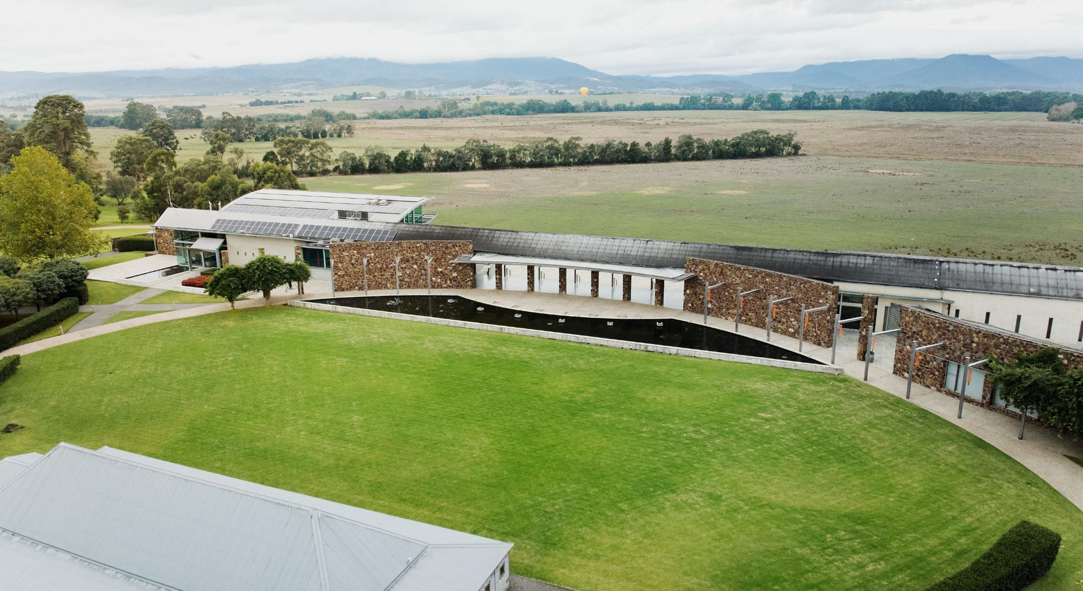 Yering Station Vineyard