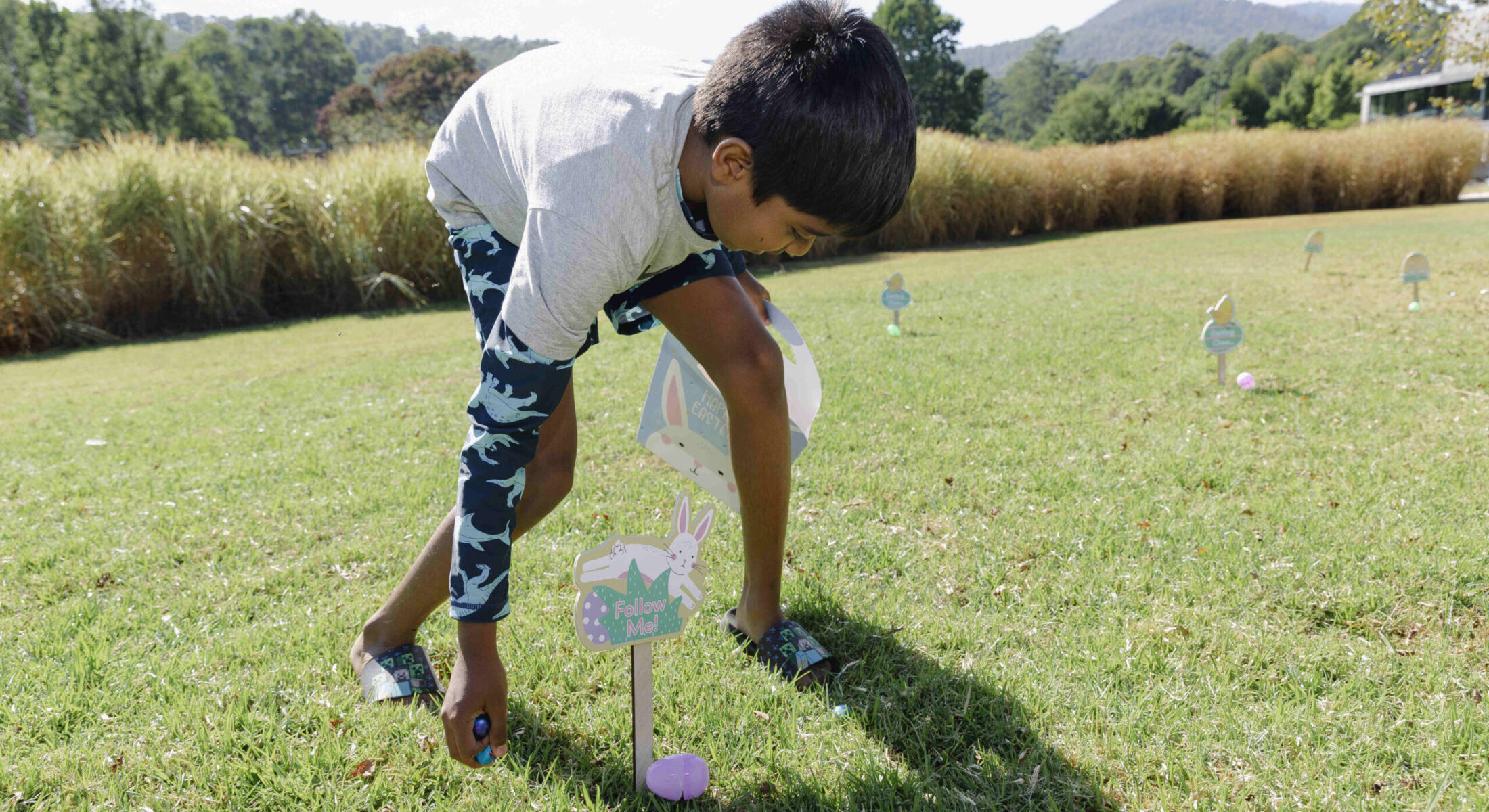 Easter Egg Hunt